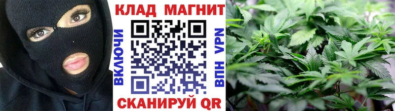 Наркошоп купить Кокаин  Alpha PVP  Меф мяу мяу  Алапаевск