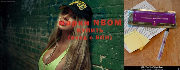 МДПВ Карпинск